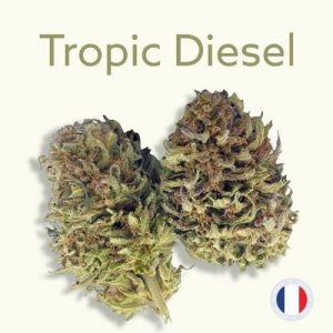 fleur cbd tropic diesel