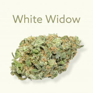 fleur cbd white widow