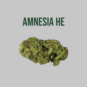 Fleur CBD Amnésia HE