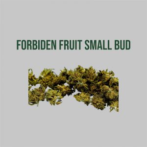 Fleur CBD Forbiden Fruit Small Bud