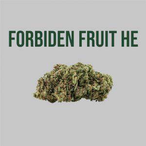 Fleur CBD Forbiden Fruit HE