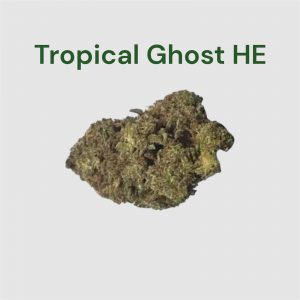 Fleur CBD Tropical Ghost HE