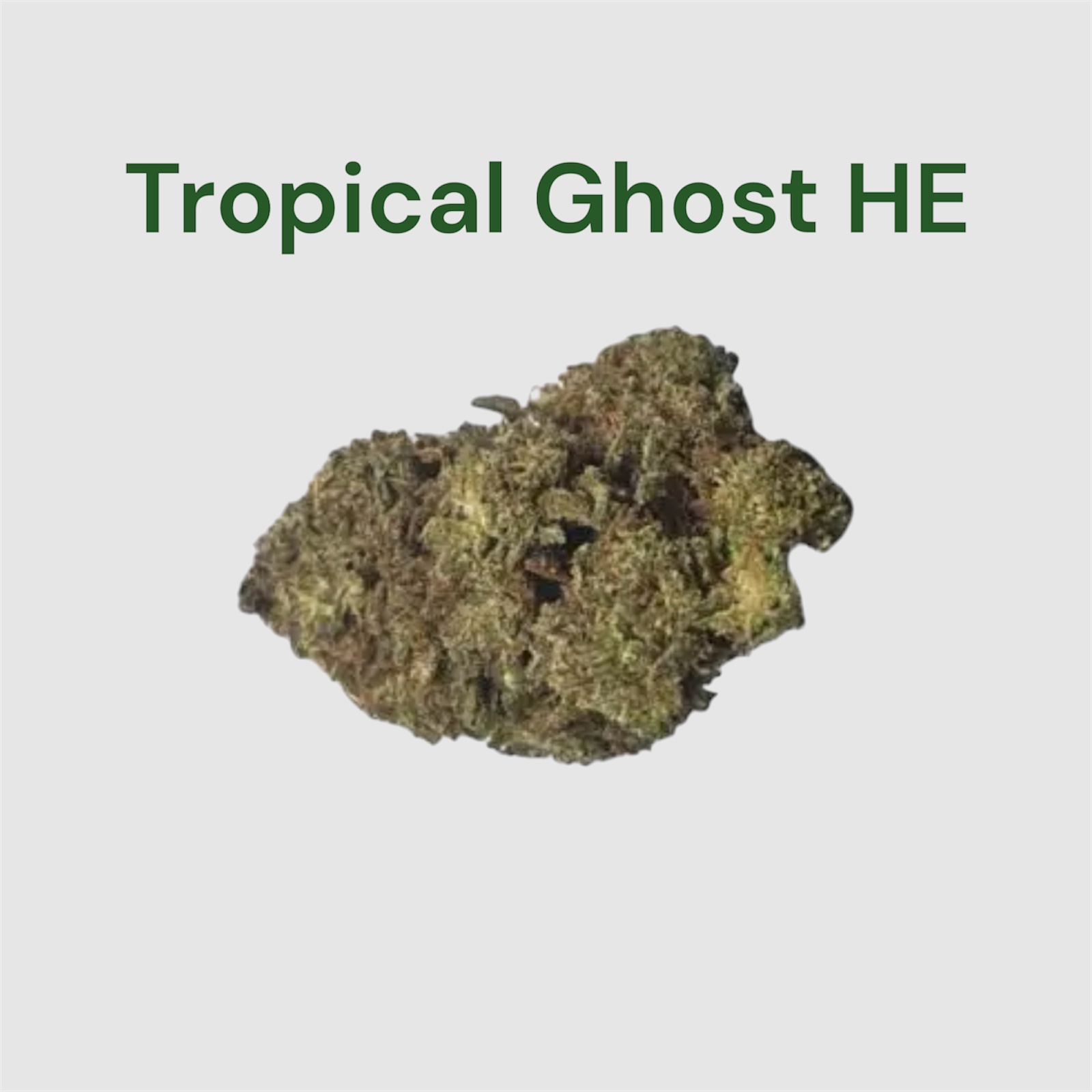 Fleur CBD Tropical Ghost HE